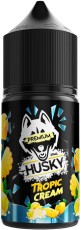 Жидкость для ЭСДН HUSKY PREMIUM Salt 30мл 20мг Tropic cream