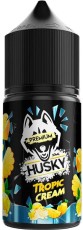 Жидкость для ЭСДН HUSKY PREMIUM Salt 30мл 20мг Tropic cream Strong