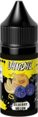 Жидкость для ЭСДН VANDAL SALT 30мл 20мг Bilberry Melon extra