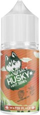 WATER PLACE 20мг STRONG HUSKY MINT SERIES SALT 30мл Жидкость