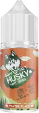 WATER PLACE 20мг HUSKY MINT SERIES SALT 30мл Жидкость